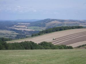 southdowns