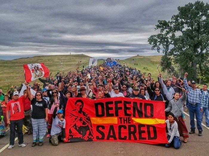 dapl5