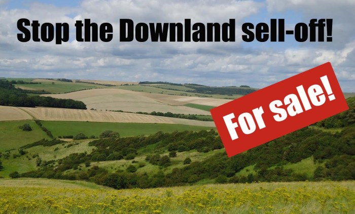 stop-the-downland-sell-off