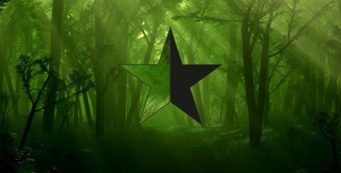 greenanarchistforest