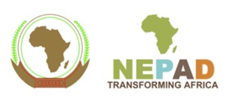 gs nepad logo new