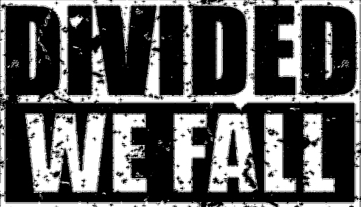 divided we fall