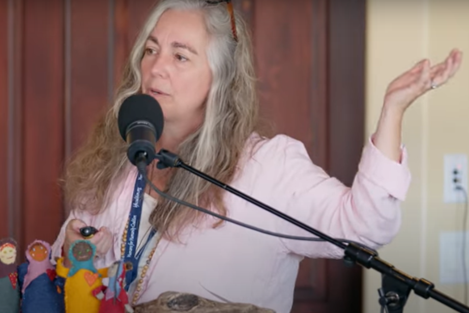 alison McDowell talk