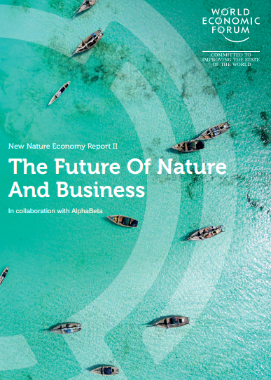 WEF nature report