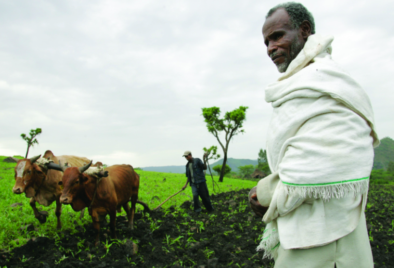 Ethiopia farmer